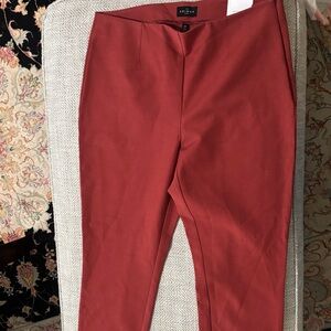 White House Black Market Men's Chinos in Deep Rust